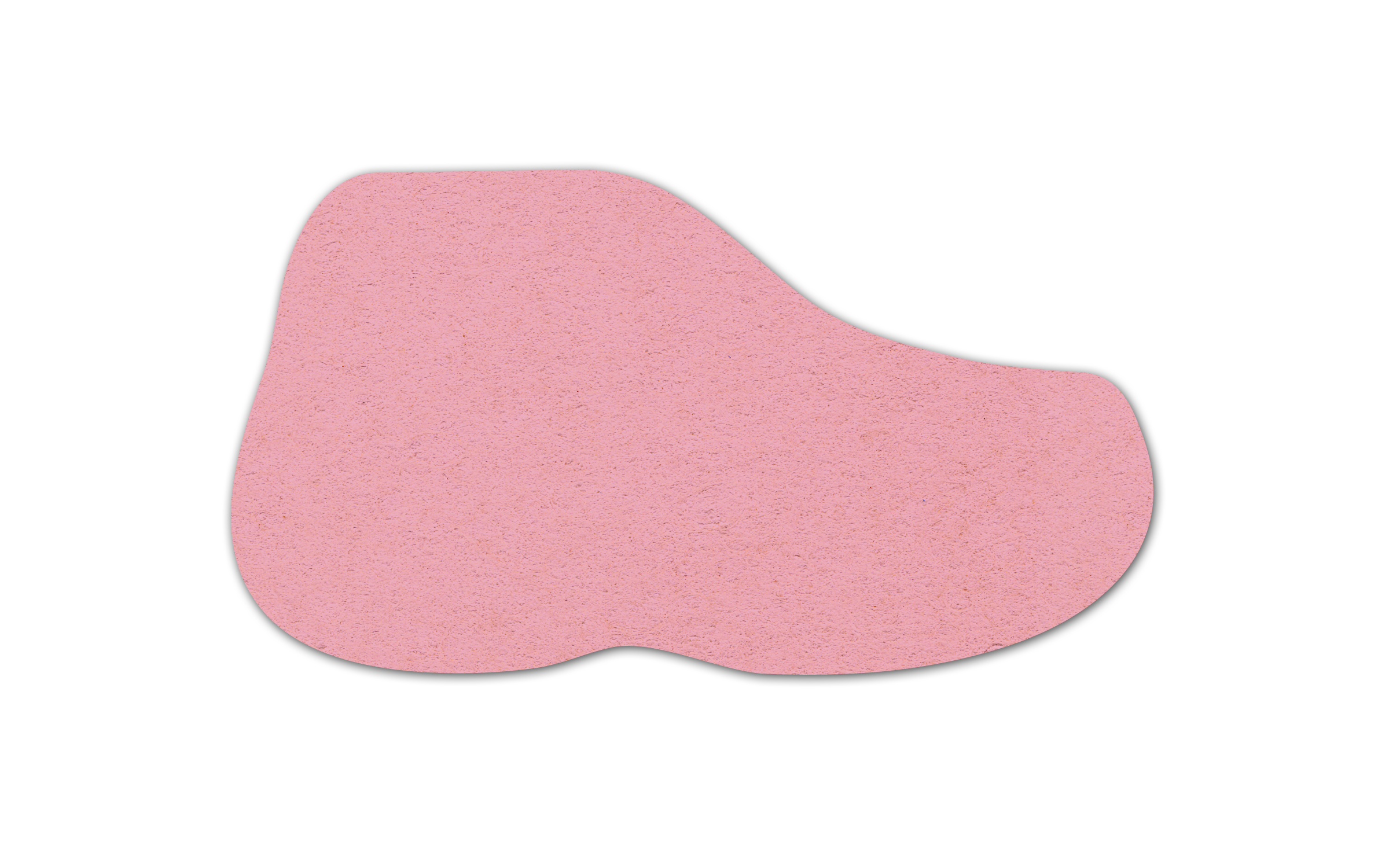 Sneaker Compressed Sponge 6