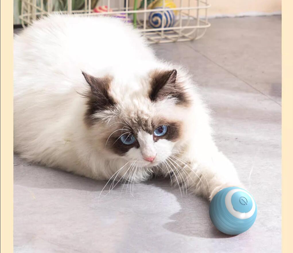 Interactive Cat Toys Ball With Led Lights 3