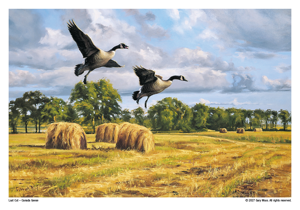 Triumph® Calendars Wildlife Art Calendar 60