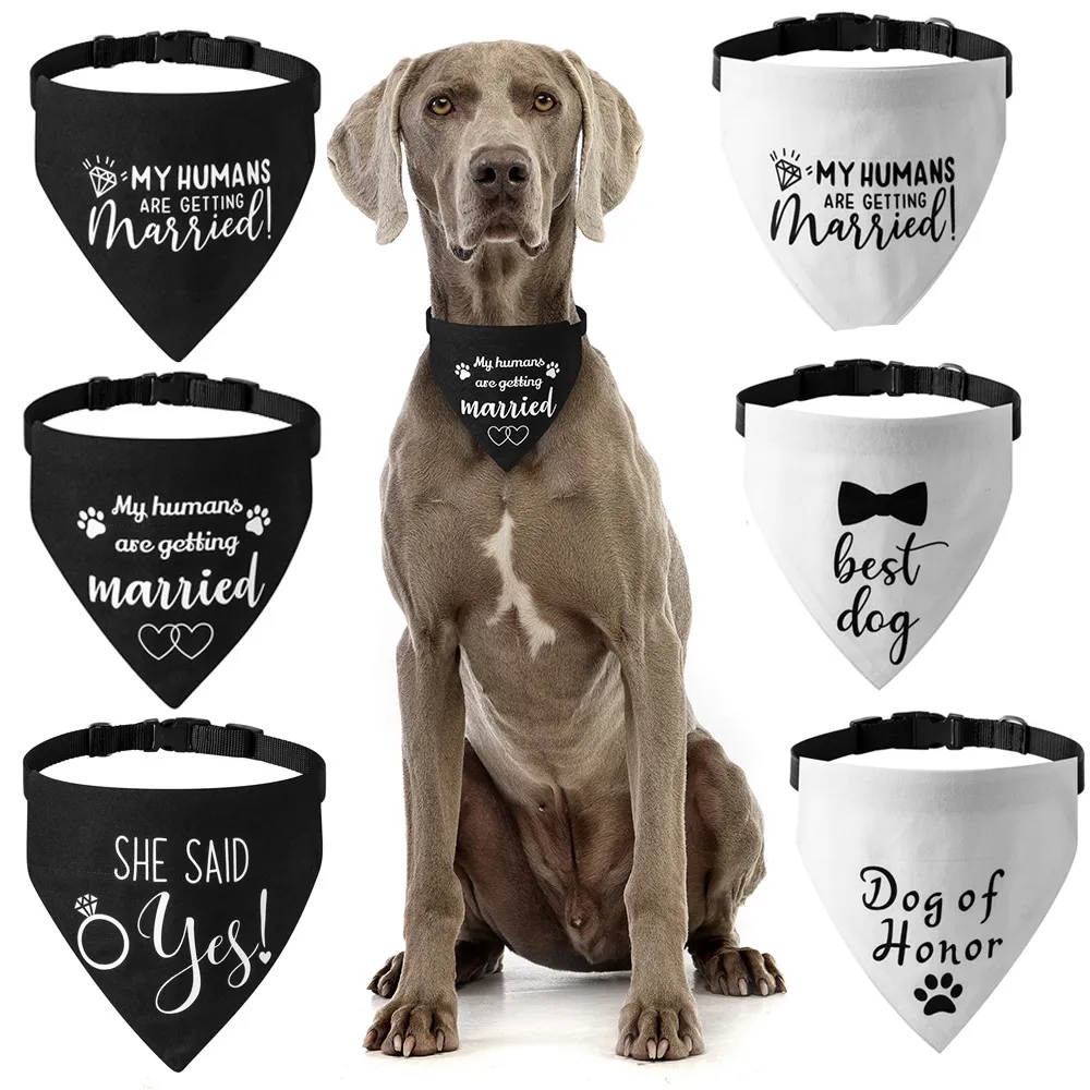 Canvas Pet Towel Collar 3