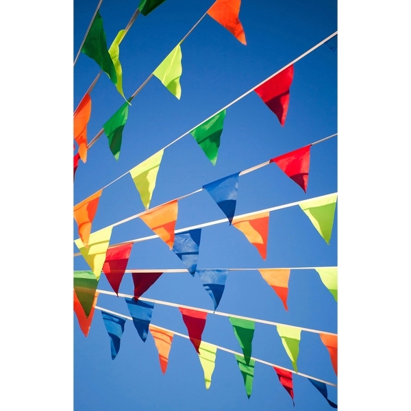60' Semi-Stock Fluorescent Pennant Streamers w/ 36 Pennants 1