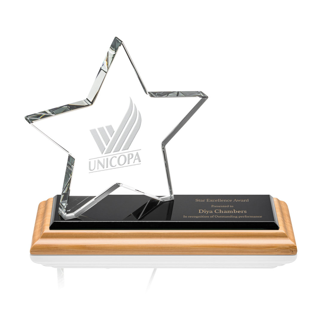 Northam Star Award - Deep Etch 11