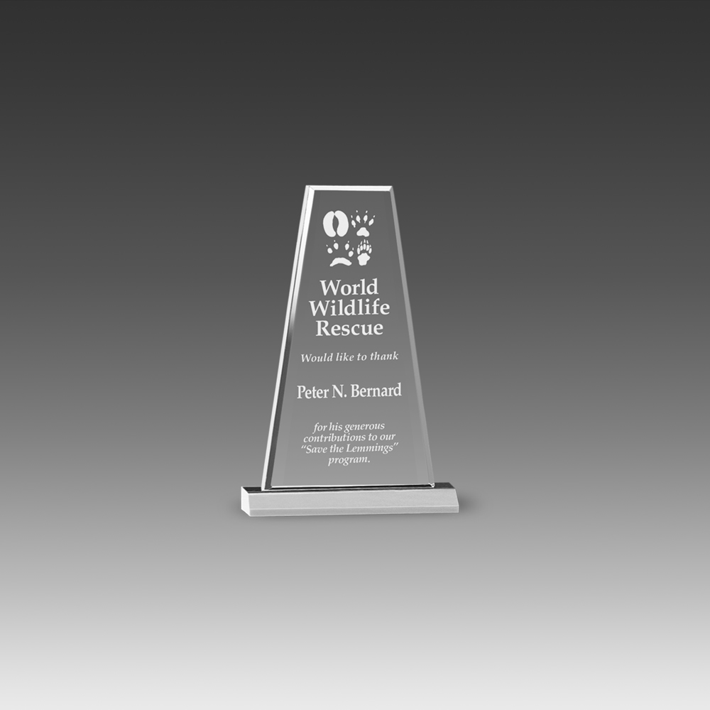 Premium Prism Award (6"x8") 2