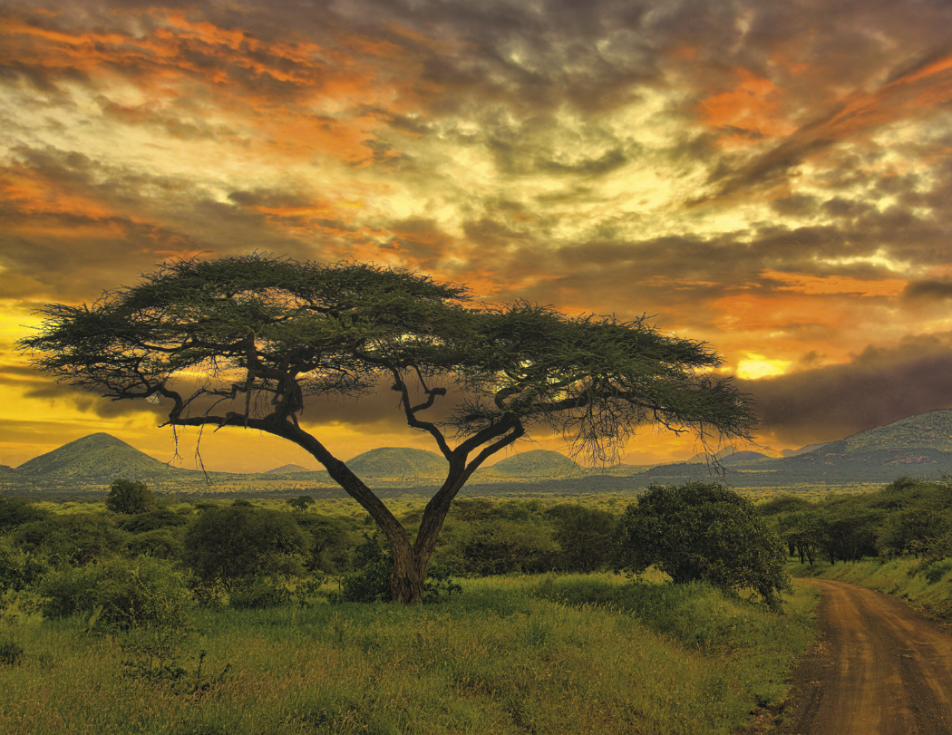 Good Value™ Glorious Getaways - Window Calendar 63