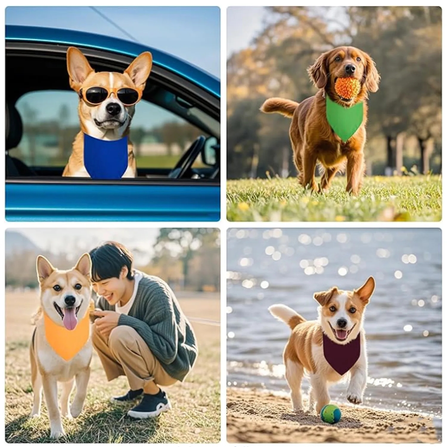 Triangle Dog Bandanas 4