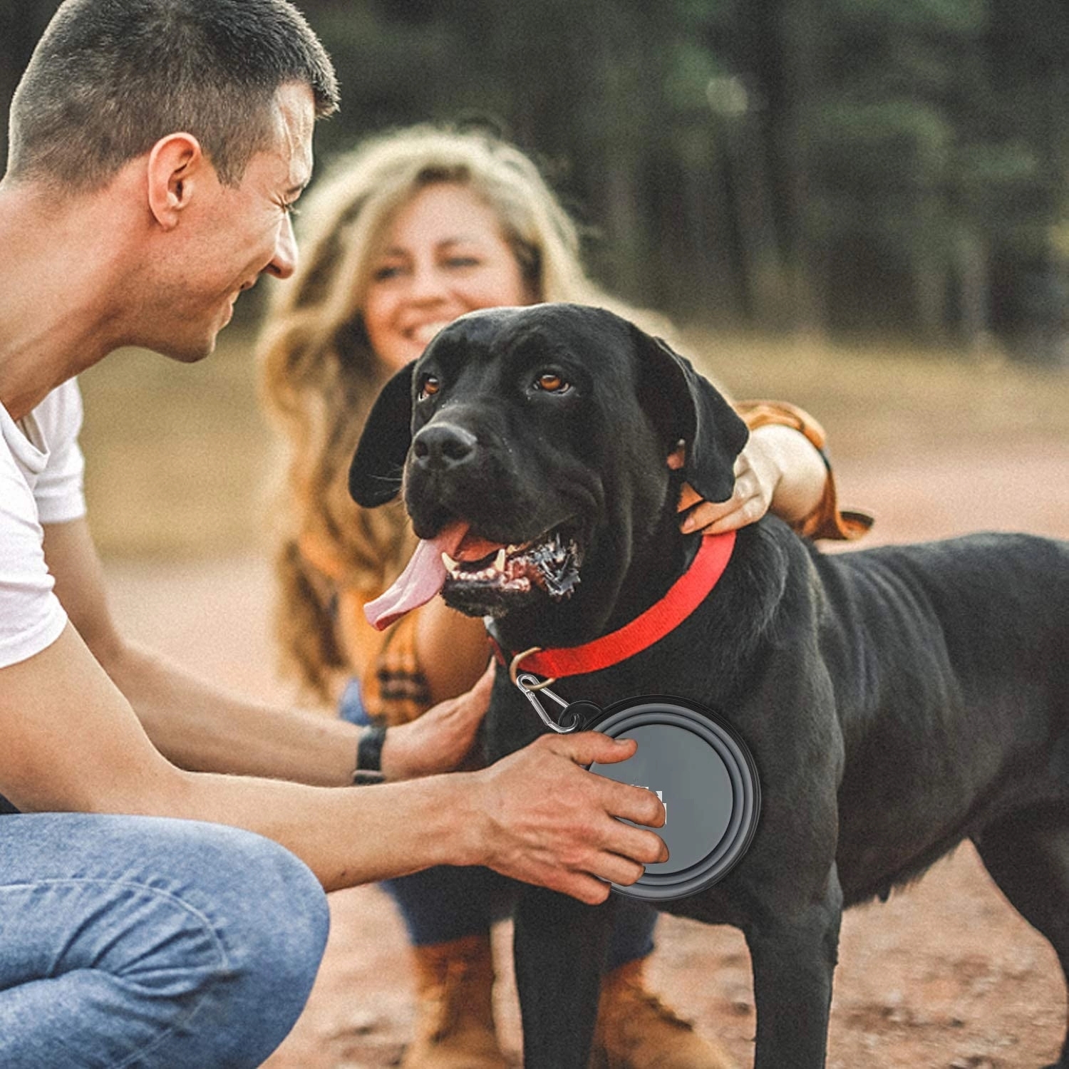 Silicone Collapsible Pet Bowl 5