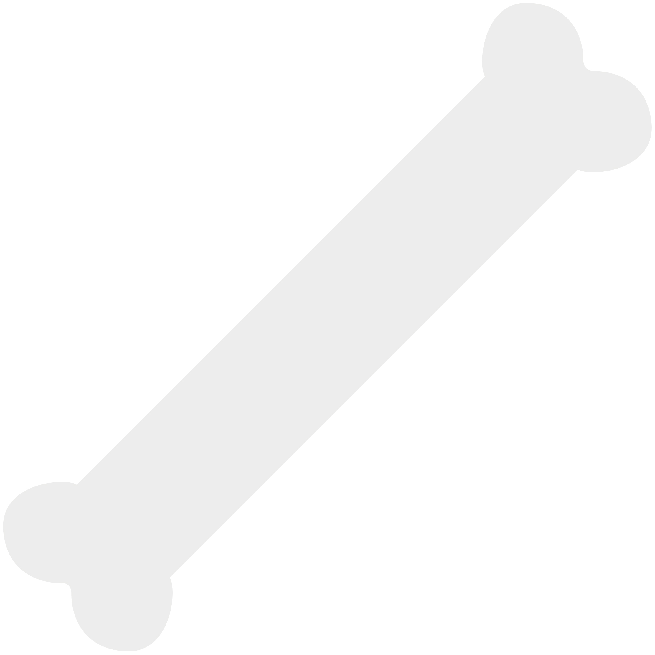 Dog Bone Waver 34