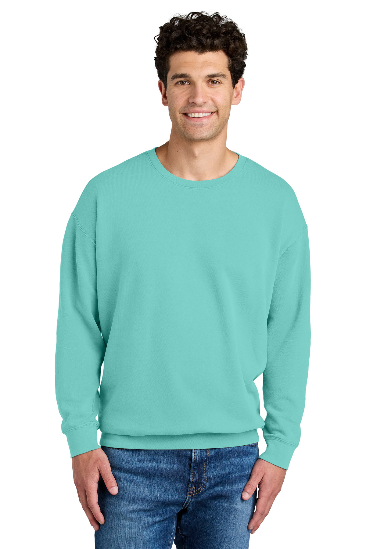Comfort Colors Lightweight Crewneck Sweatshirt 1466 27
