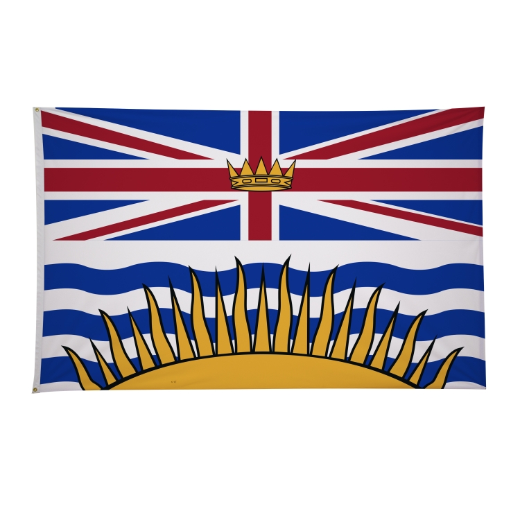 5' x 8' International Flags 203