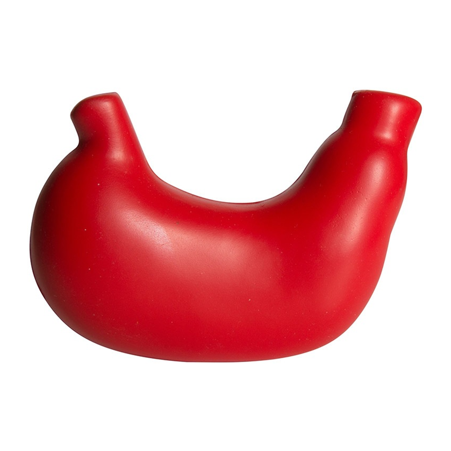 Foam Toy Stomach 2