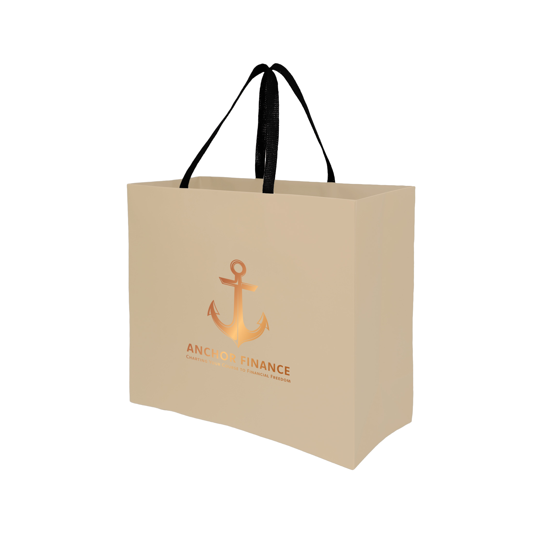 Sugarcane Paper Bag with Embedded Web Style Paper Handles - 8