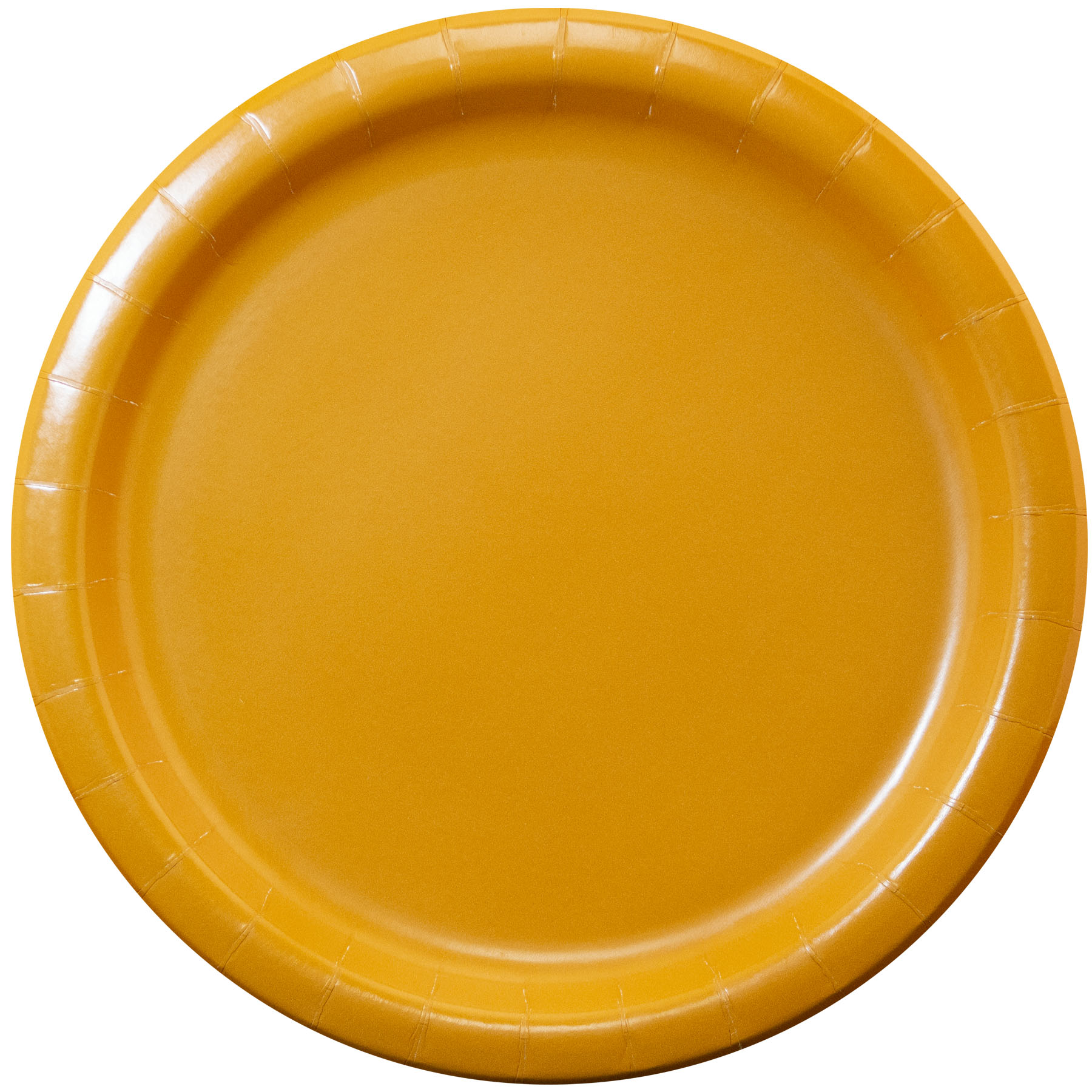 9" Colorware Paper Plate 5