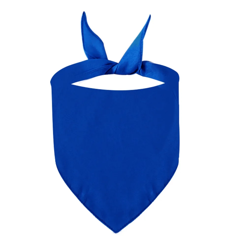 MOQ50 Custom Polyester Full Color Pet Bandana 4