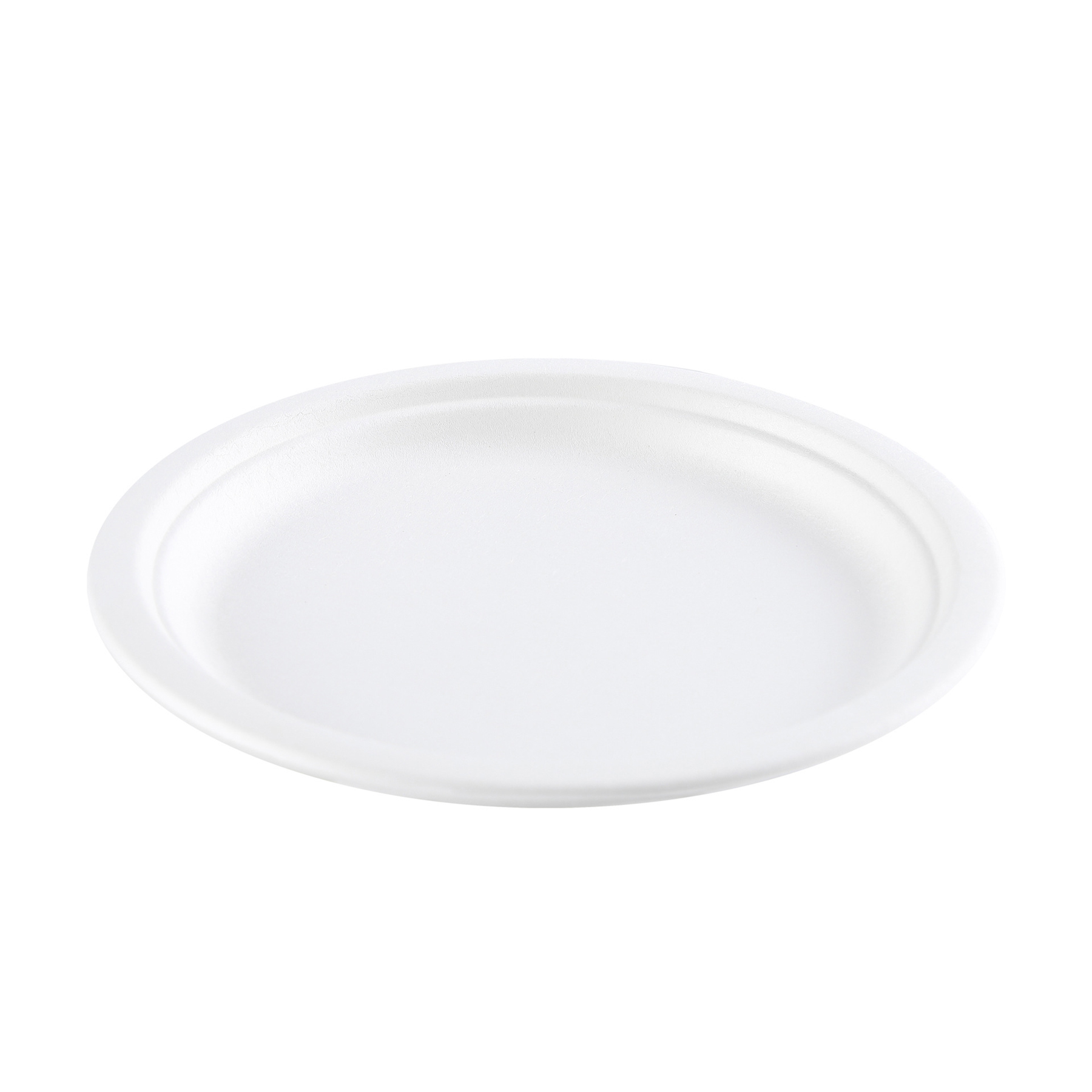 10 Inches Disposable Food Plate 4