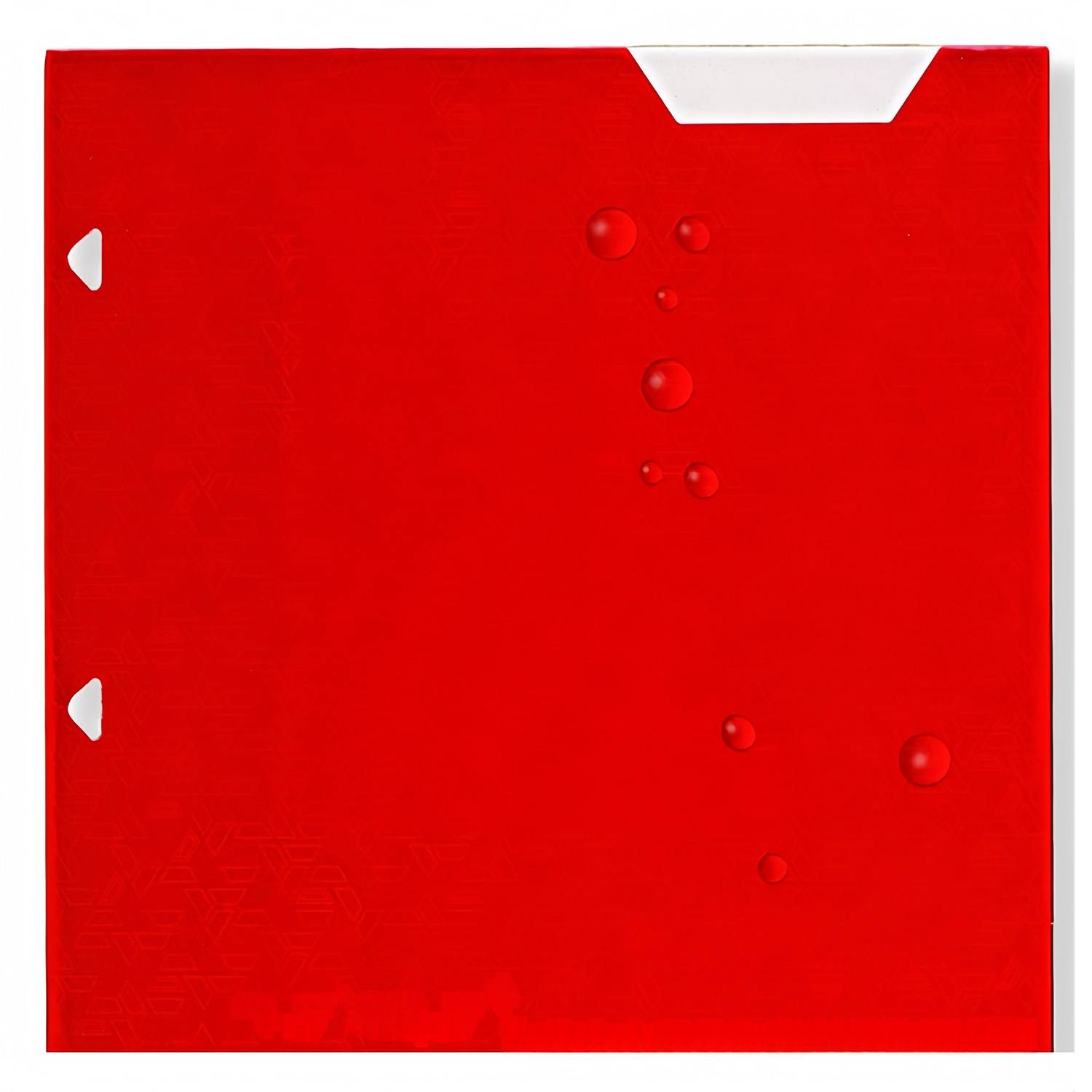 6 Pack A4 3 Ring Binders w/ Labels 4