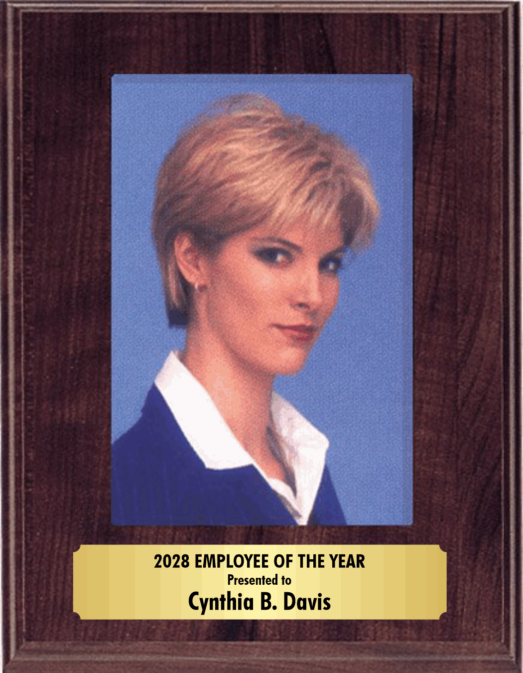 Slide in Picture Plaque 3