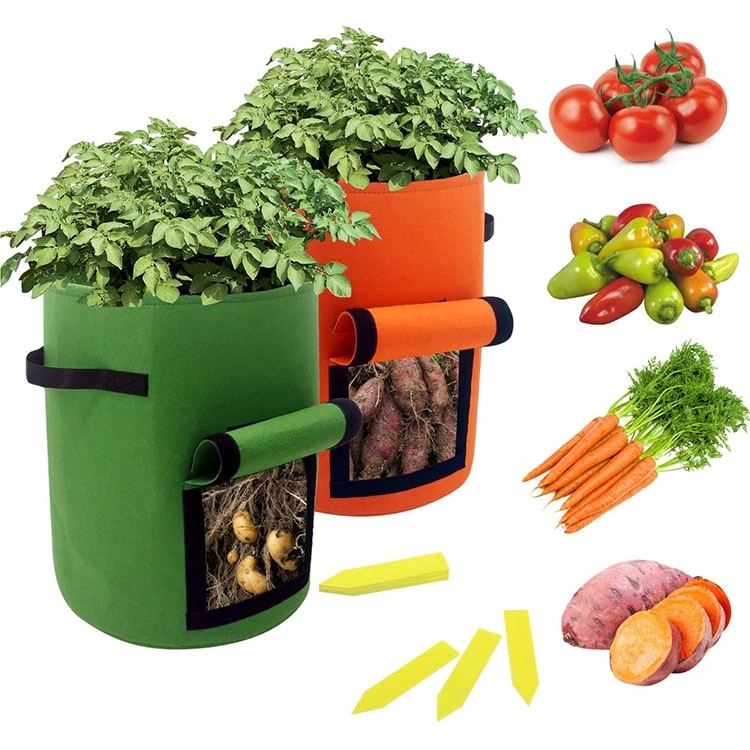 5 Gal. Vegetable Grow Bag 3