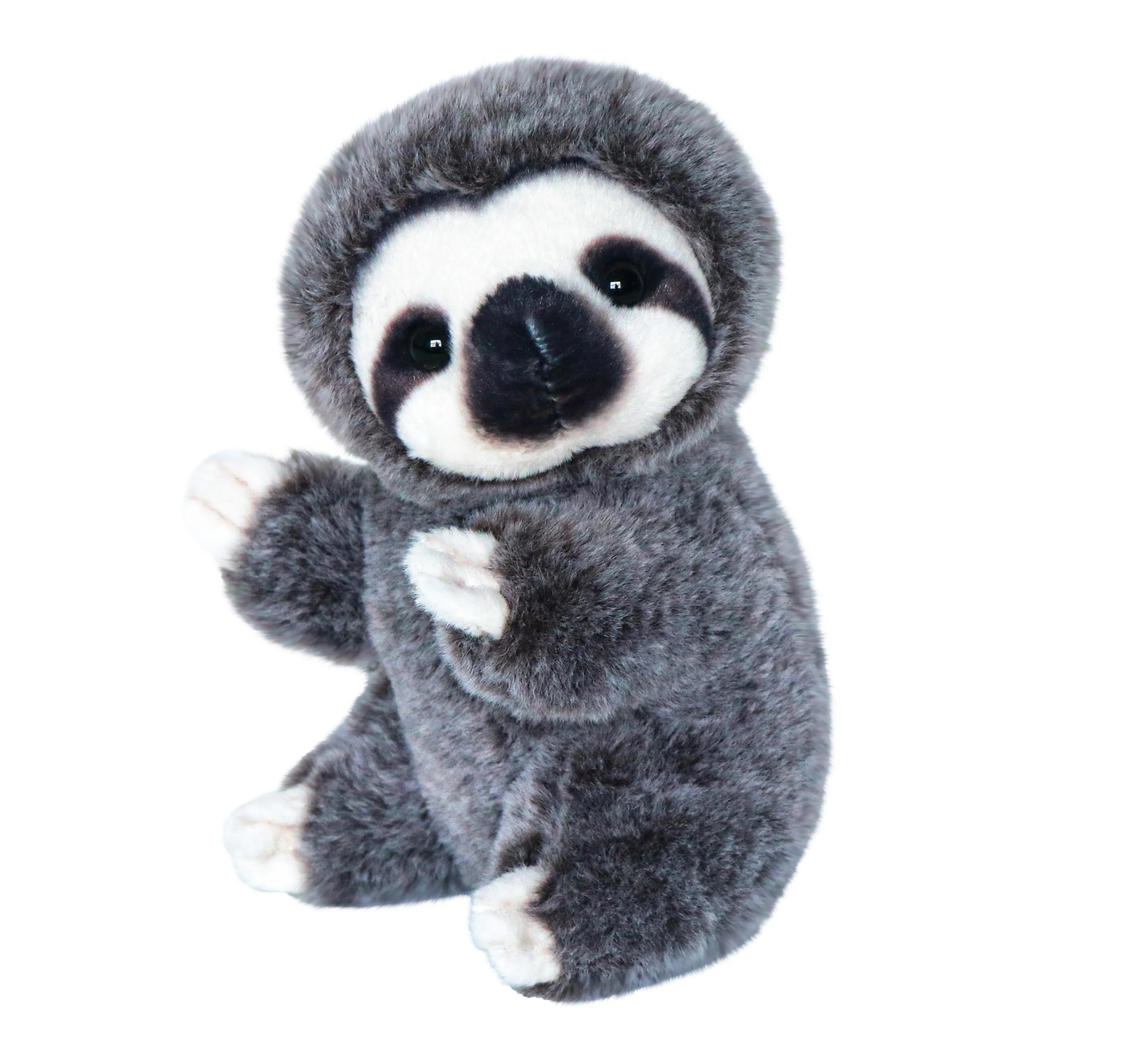 Baby Sloth 2