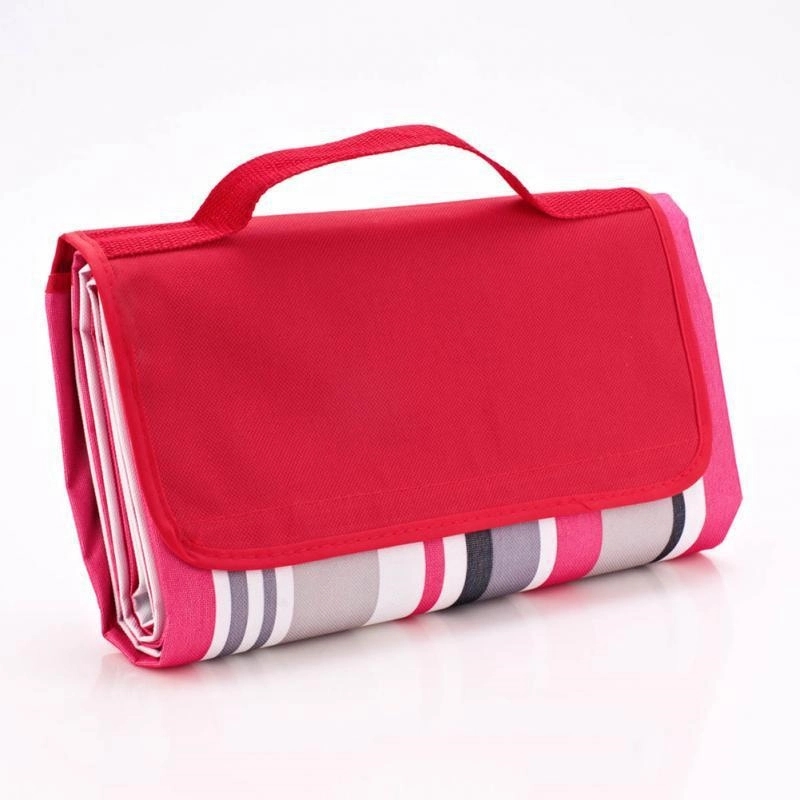 Picnic Blanket 1