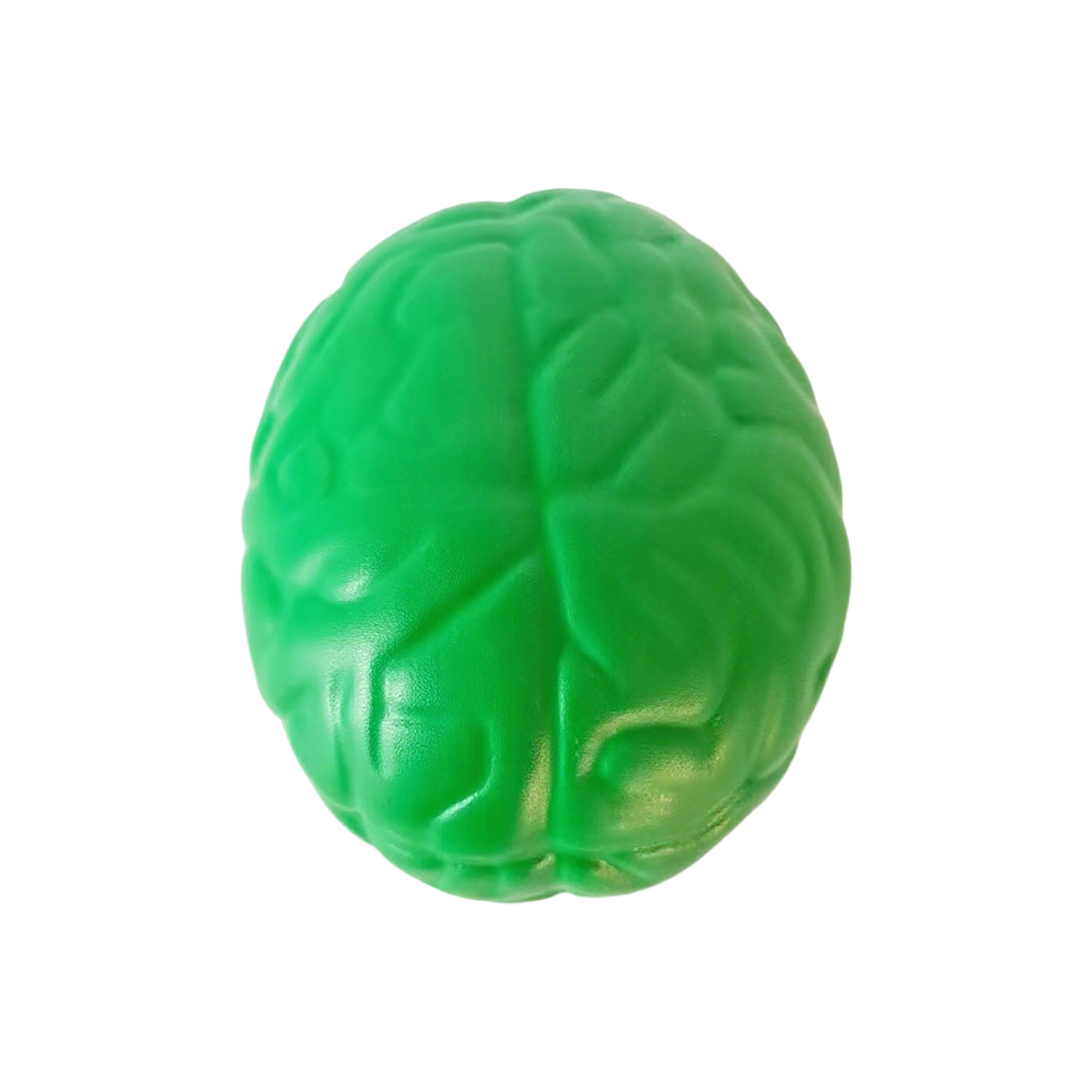 Brain Shape Foam Stress Reliever For Office And Education Use 12