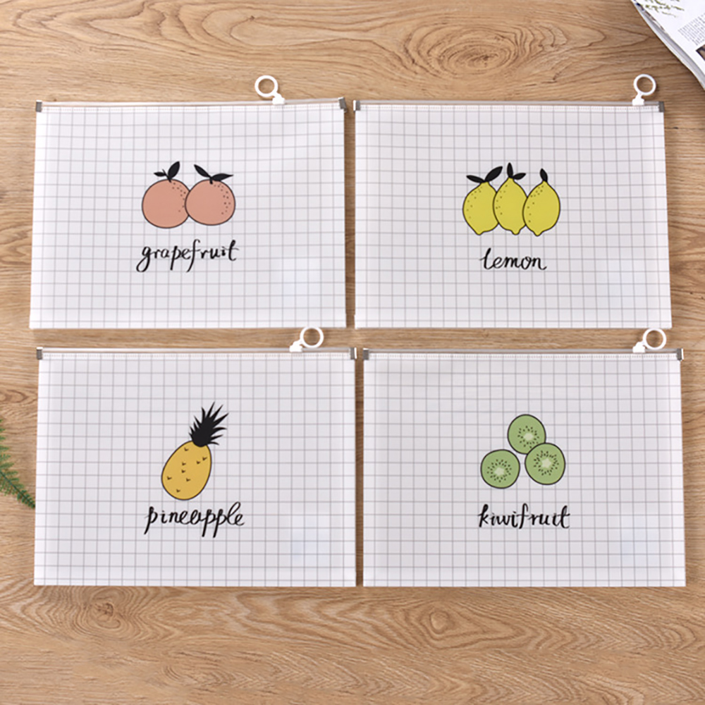 Plastic Document File Bag 2