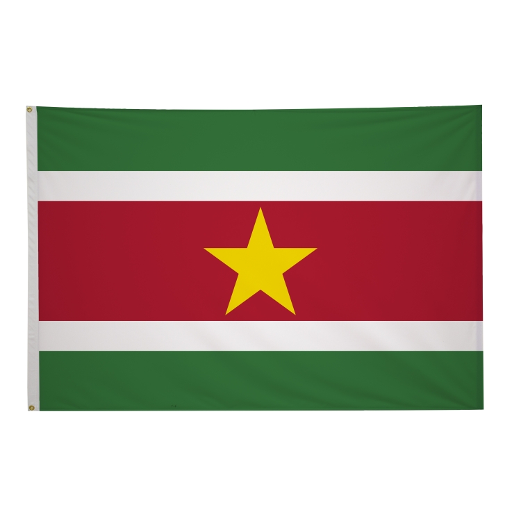 4' x 6' International Flags 297