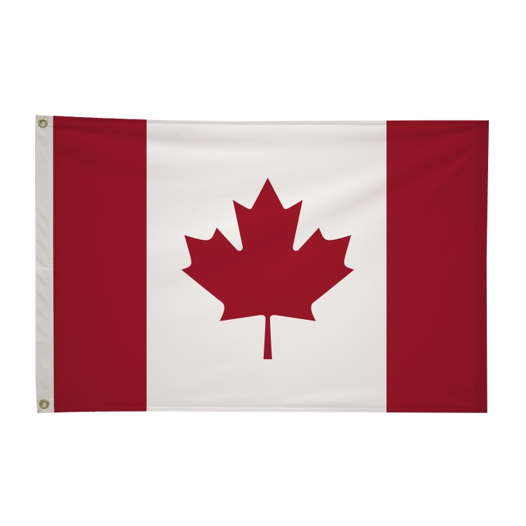 2' x 3'International Flag 176