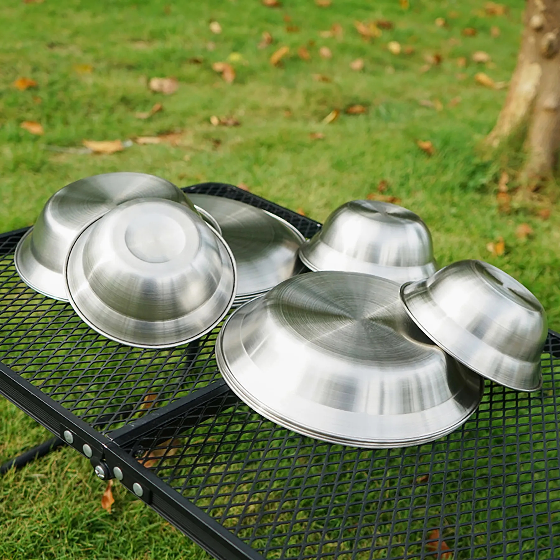 Stainless Steel 16 Piece Set Plate 6
