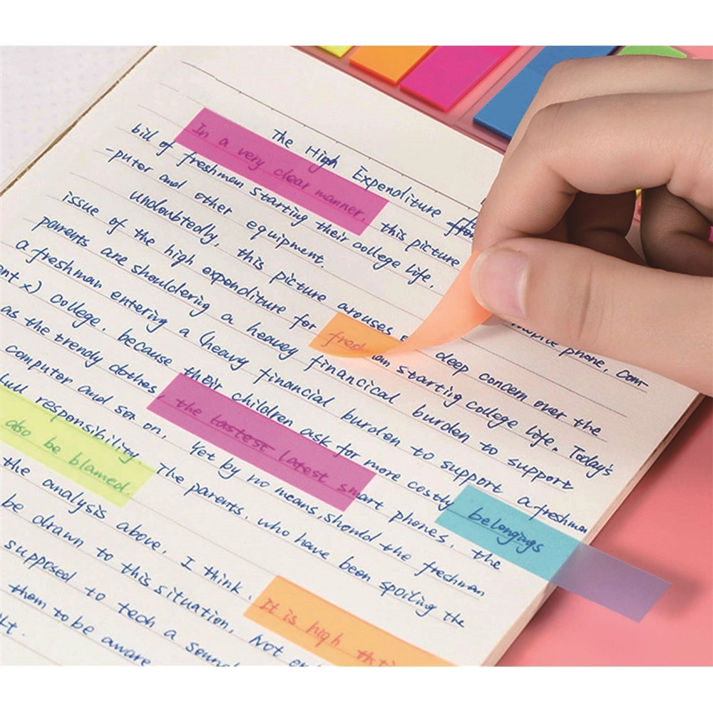 2 In 1 Sticky Notes with 12cm Ruler 2