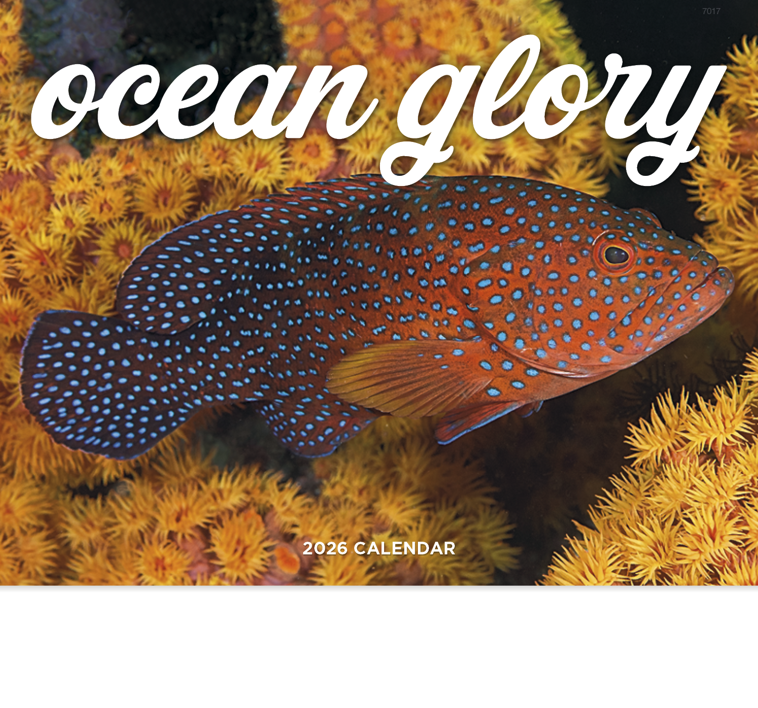 Good Value™ Ocean Glory - Stapled Calendar 35