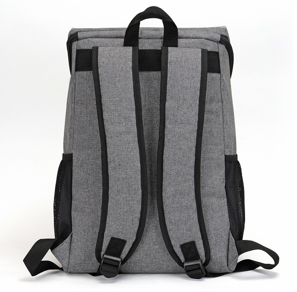 Deluxe Computer Backpack 2