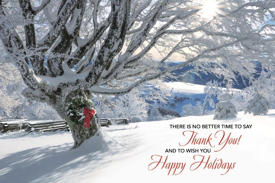 Striking Gratitude Holiday Postcards 1