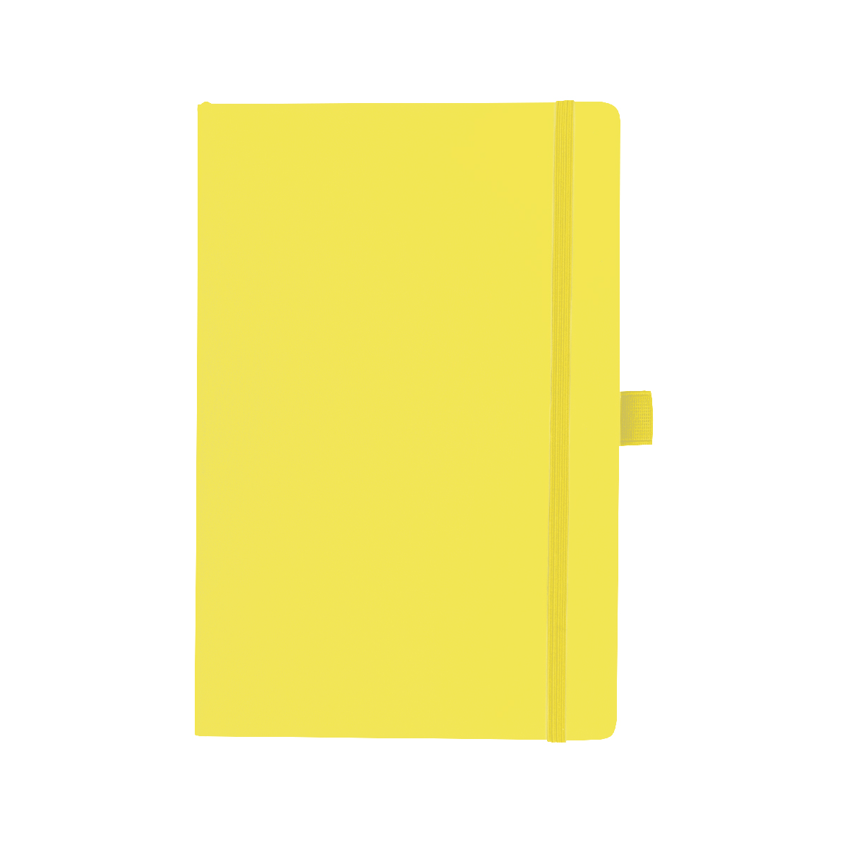 Apple Skin Journal 7