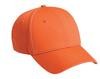 Embroidered Superior Cotton Twill Pro Caps 23