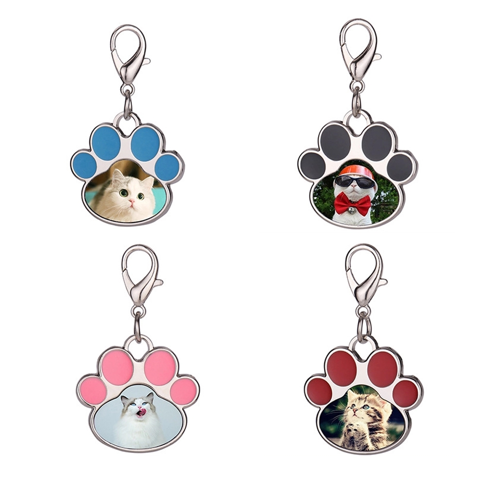 Cat Claw Keychain 1