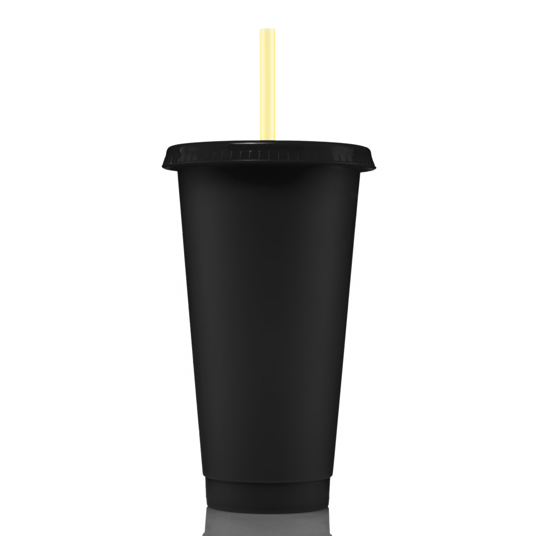 24 oz Aurora Tumbler 26