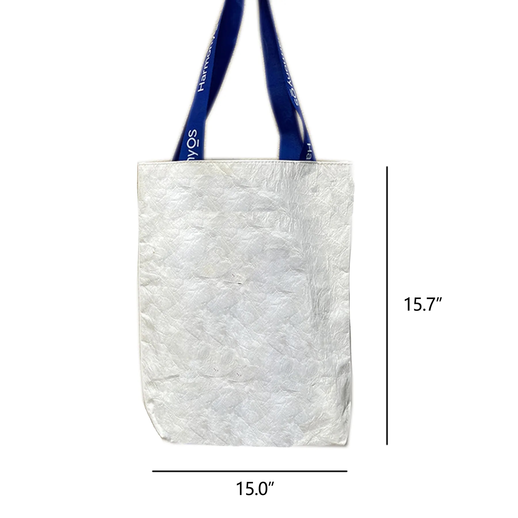 Recyclable Paper Gift Bag 2