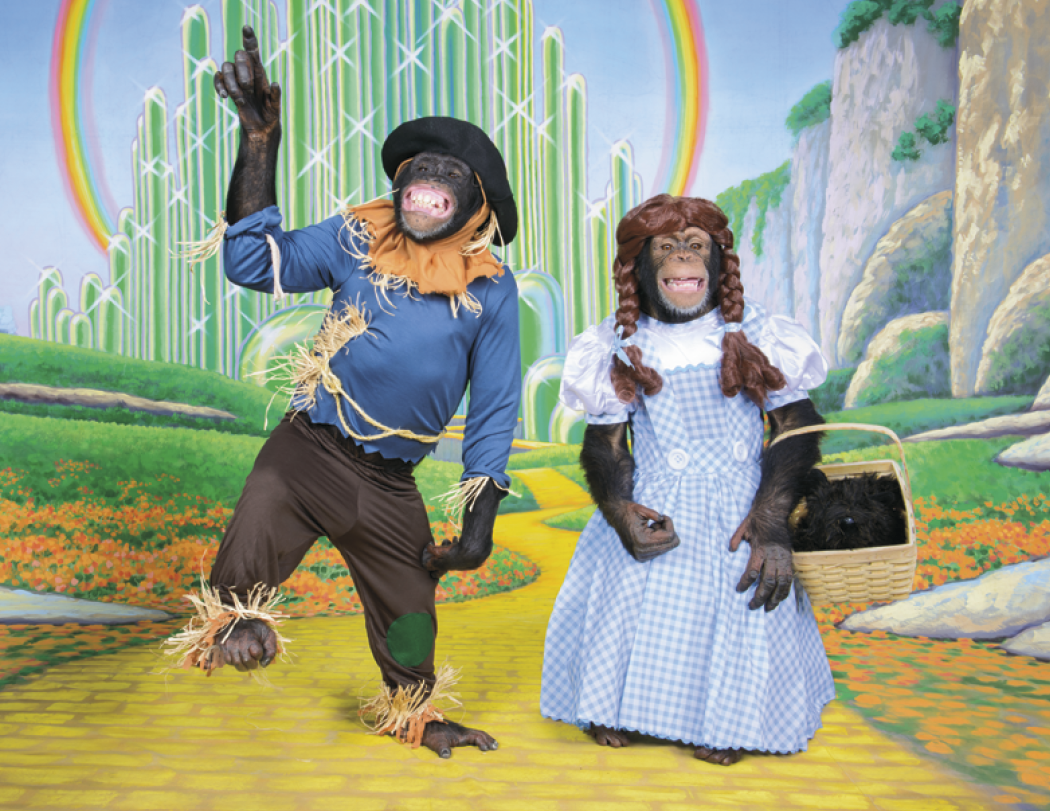 Good Value™ Monkey Mischief - Stapled Calendar