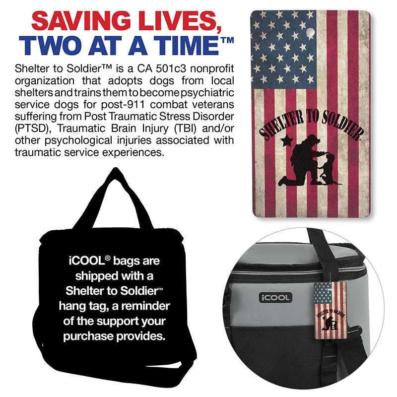 iCOOL® Pinecrest 12-Can Cooler