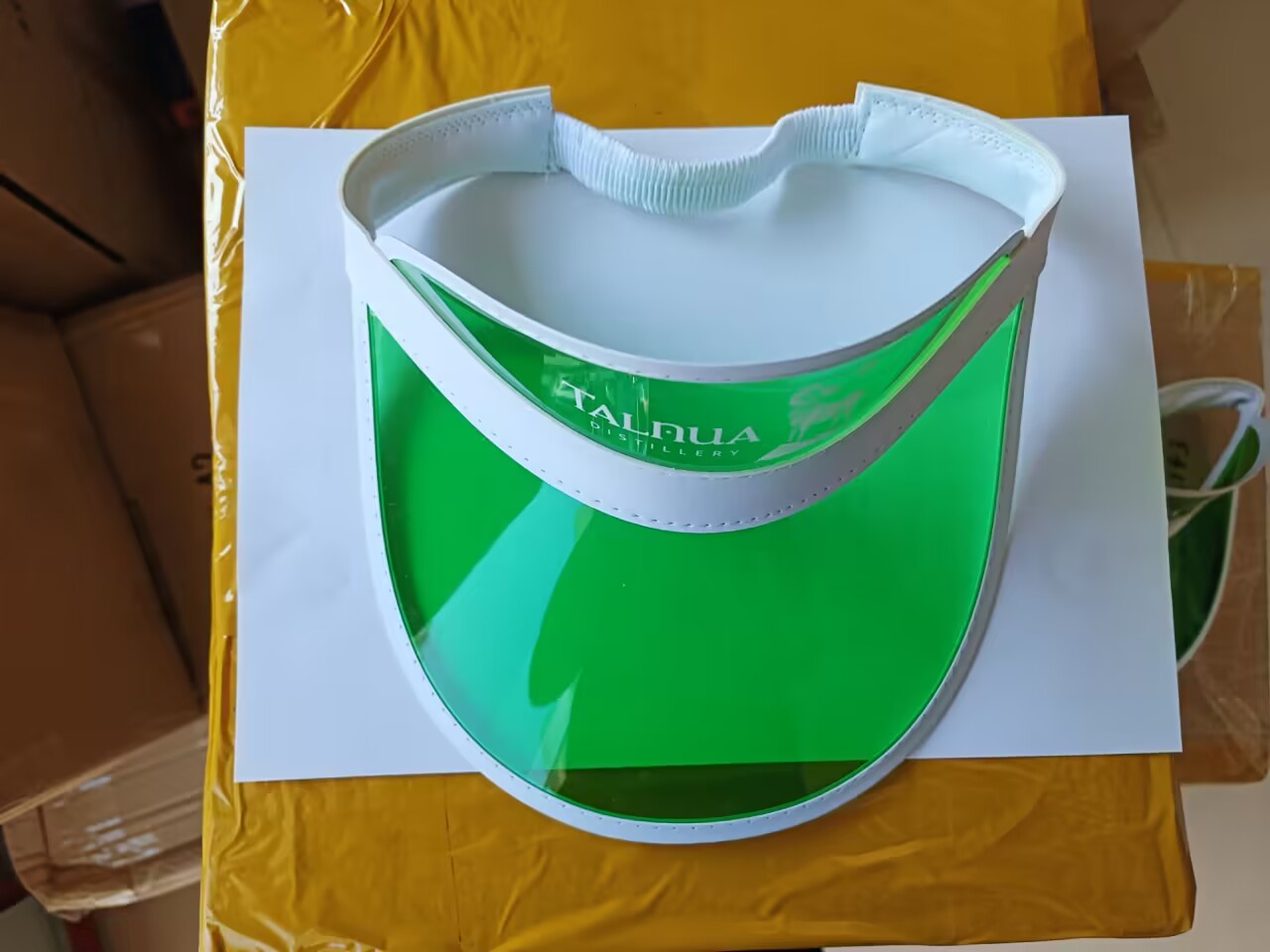 Plastic Sun Visor 2