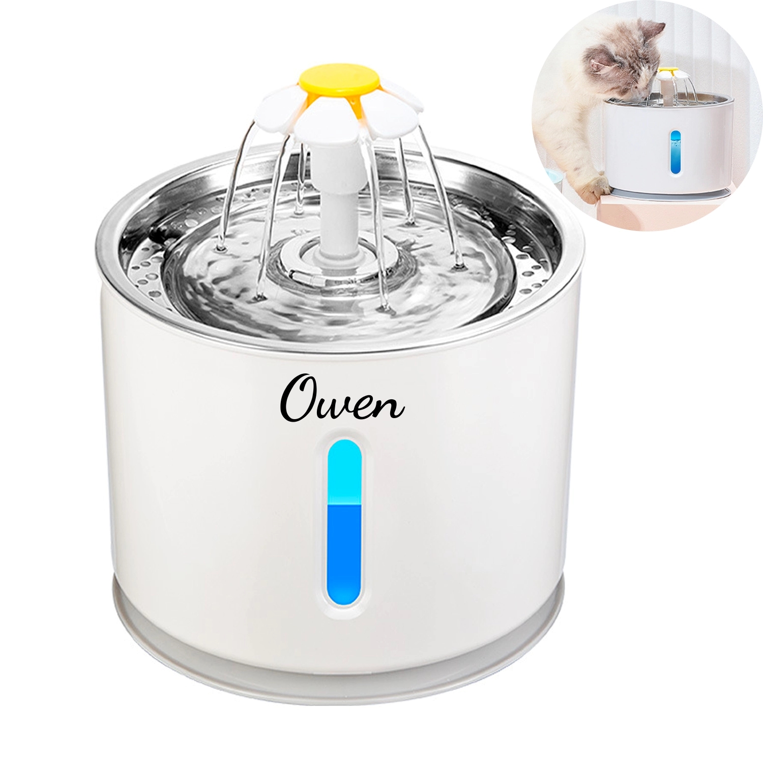 Cat Water Fountain 2