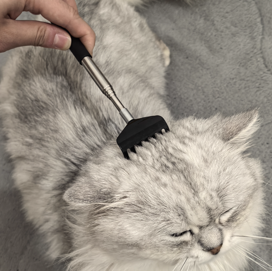 Extendable Metal Back Scratcher 4