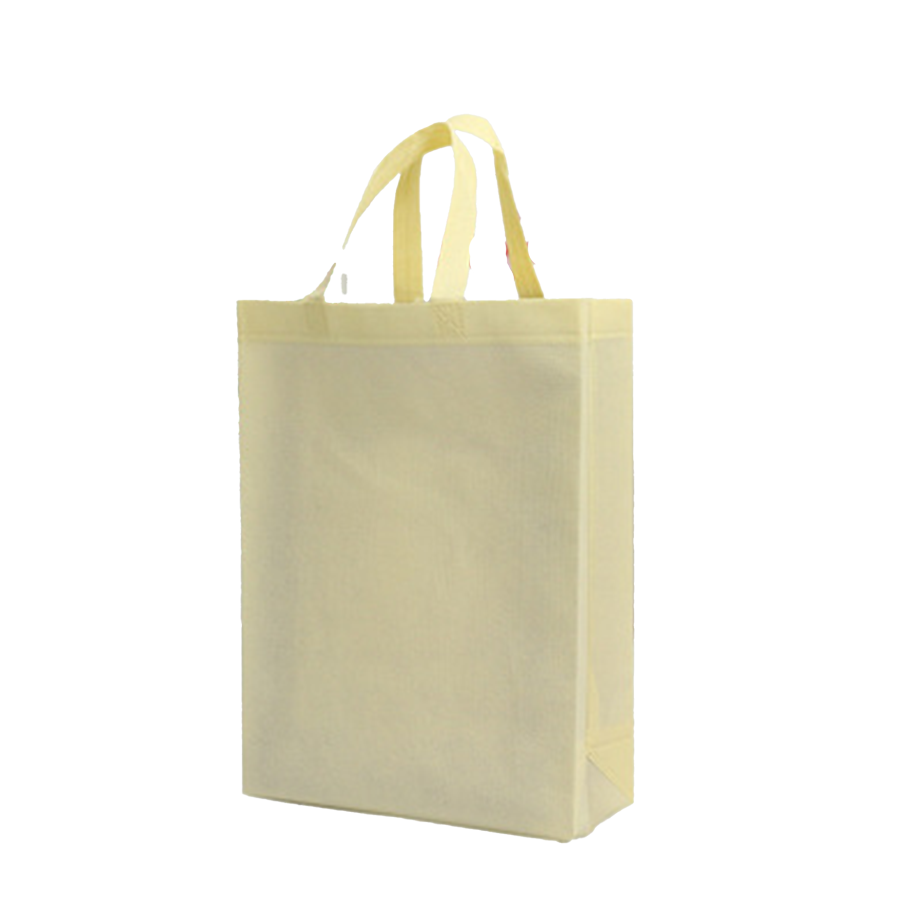 Reusable Eco Friendly Shopping Bag 1