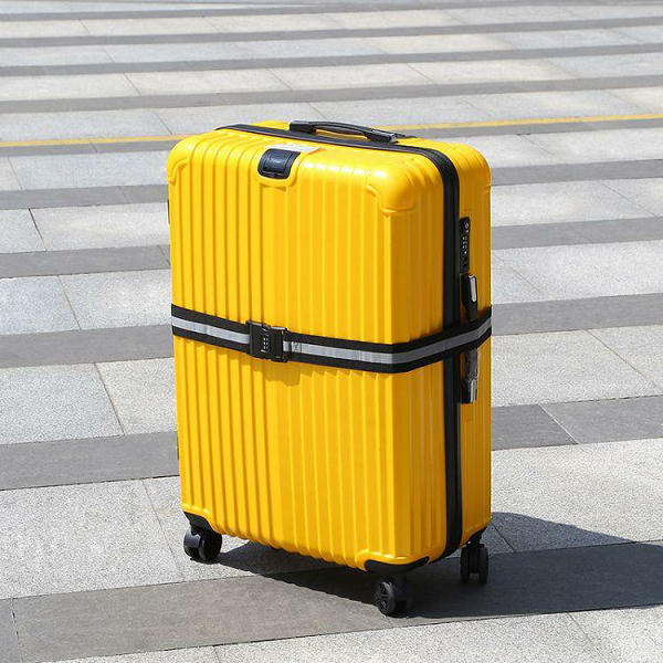 Luggage Belt 1