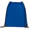 Large Oriole Drawstring Bag 17