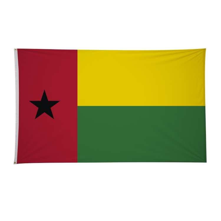 6' x 10' International Flags 194