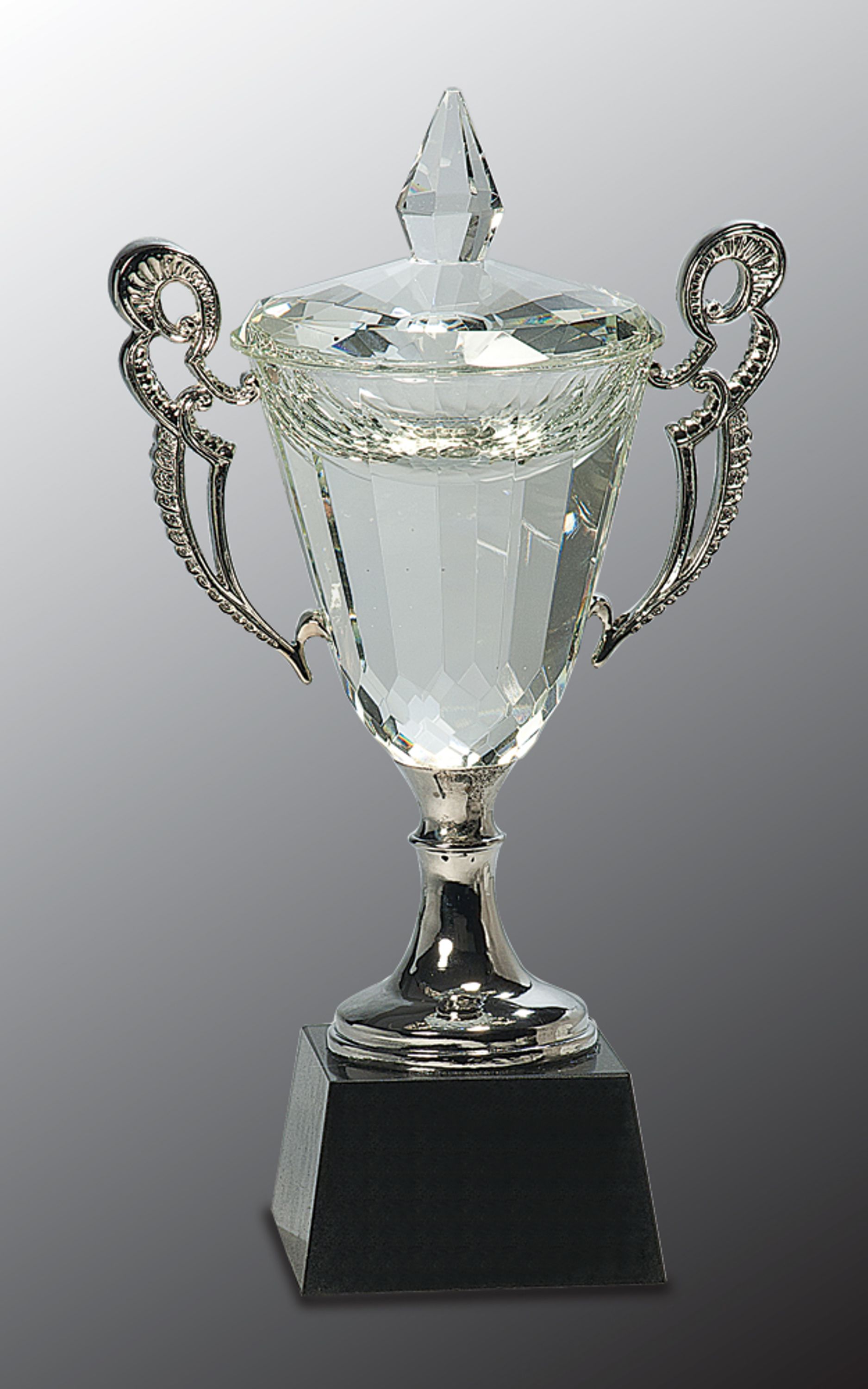 11 1/4" Crystal Cup with Silver Handles and Stem Crystal Award 2