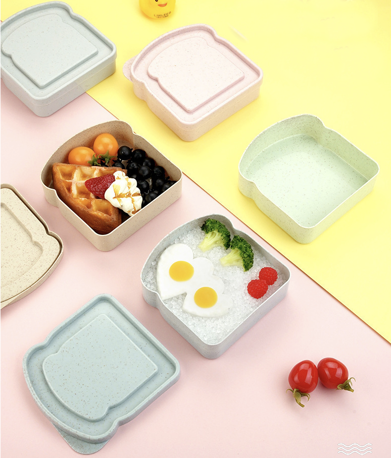 Sandwich Containers for Lunch Boxes 2