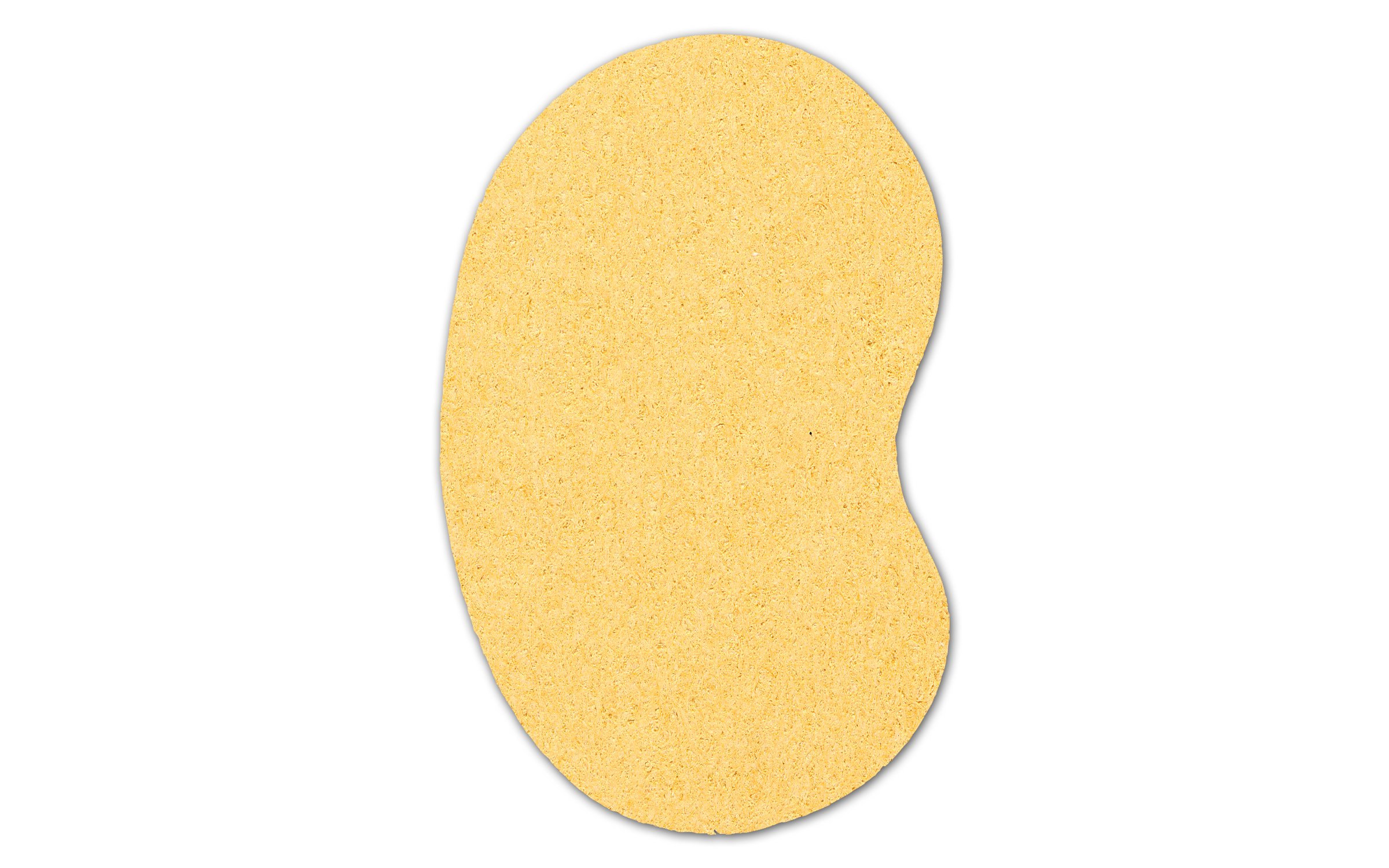 Kidney Compressed Sponge 6