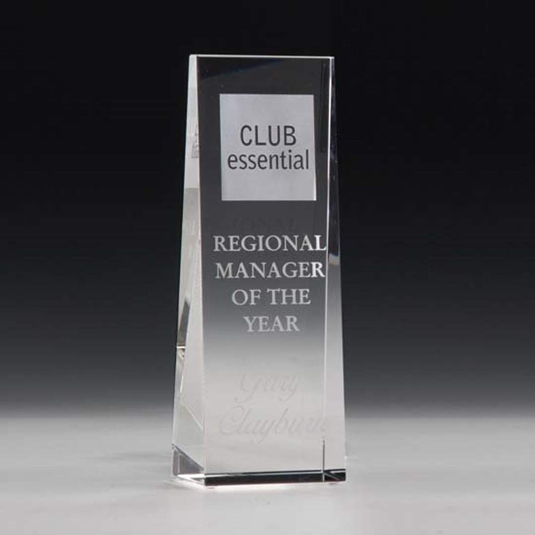 McKinley Tower Award 9